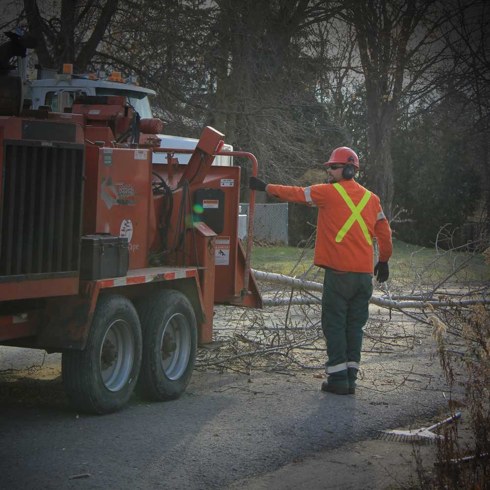Site Clearing & Grubbing