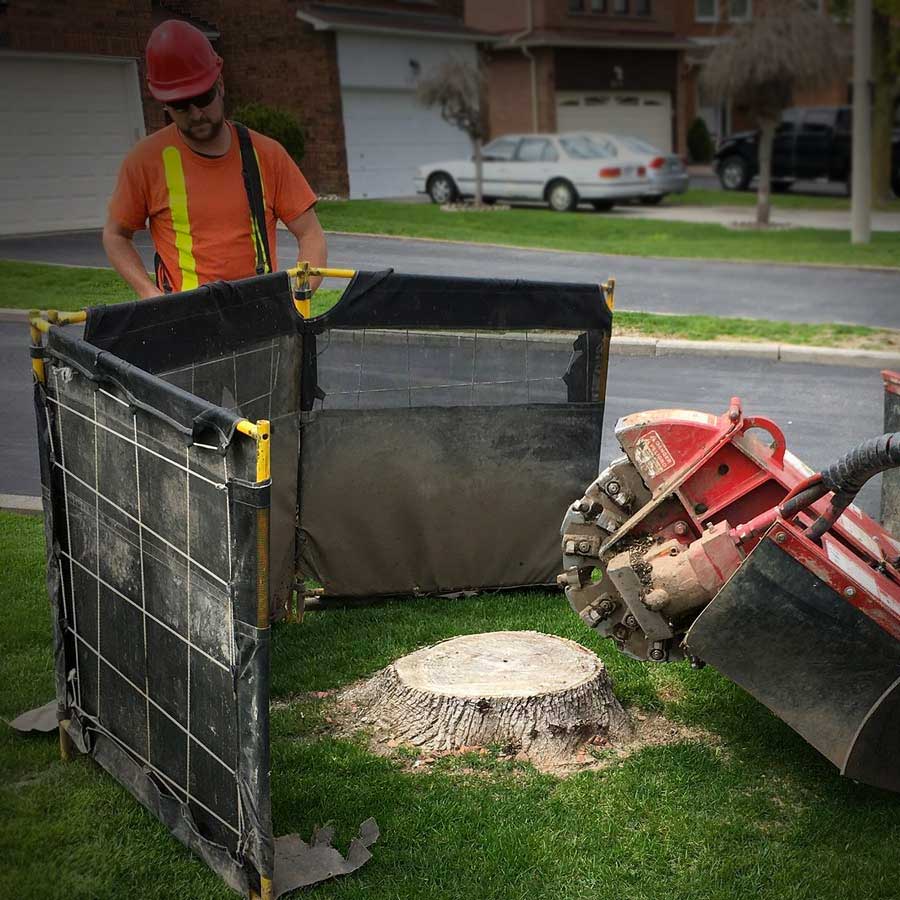 Stump Grinding